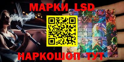 прущие грибы Новозыбков