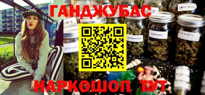 spice Новодвинск