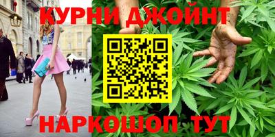 прущие грибы Новозыбков