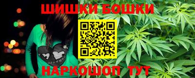 spice Новодвинск