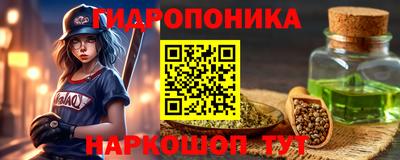 spice Новодвинск