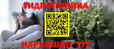 гашиш Новокубанск