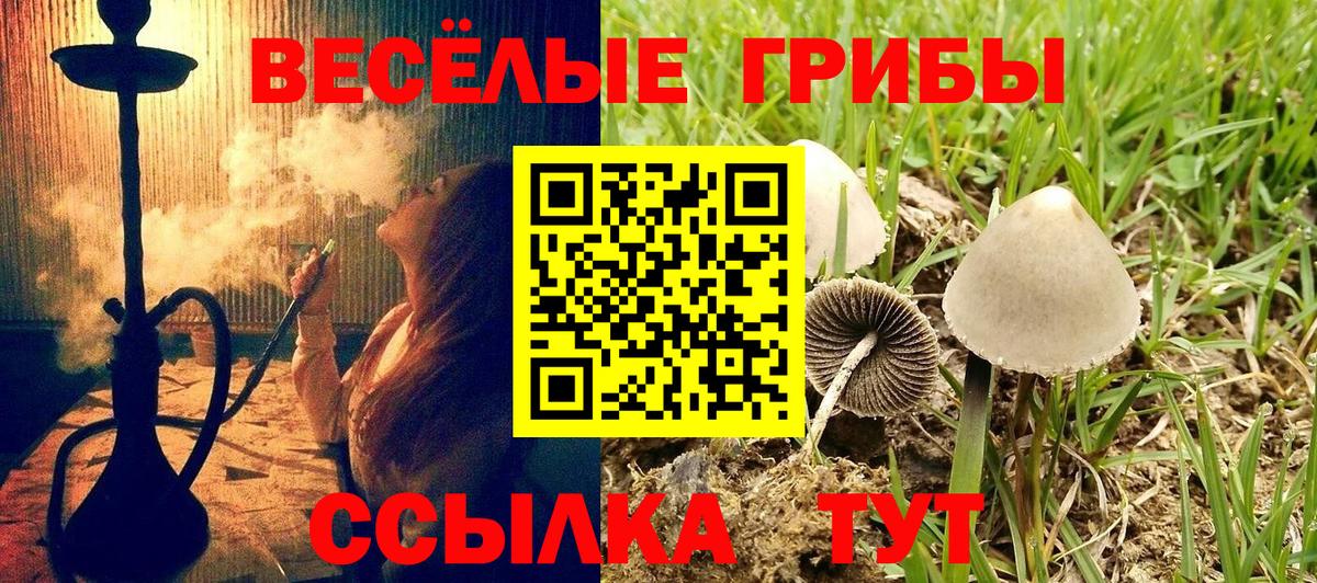 Галлюциногенные грибы мицелий  Вход с VPN  Урюпинск 