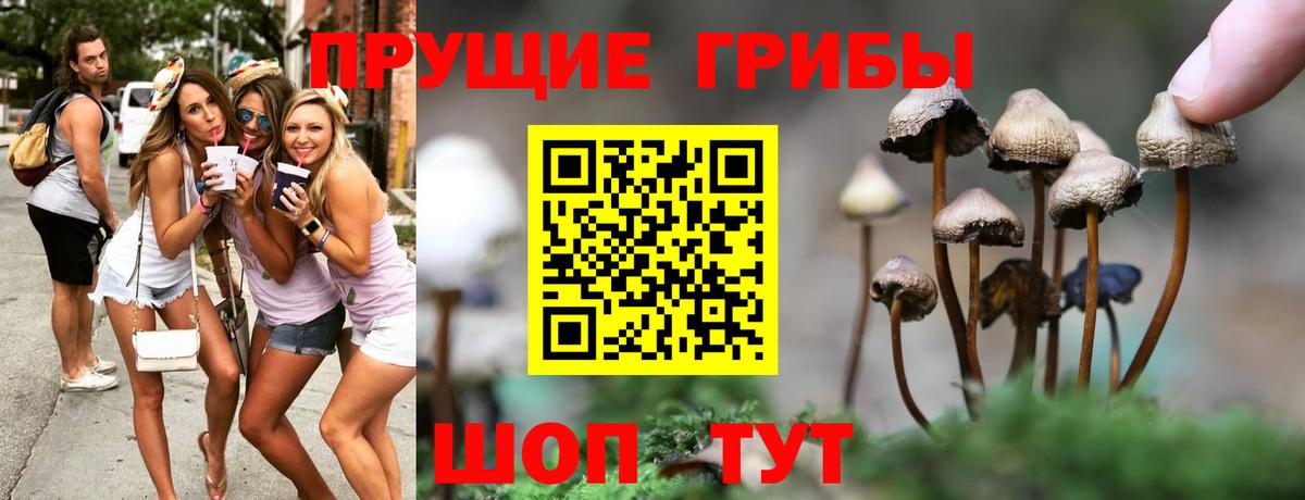 Галлюциногенные грибы Magic Shrooms Урюпинск
